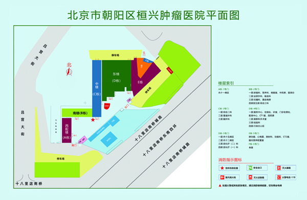 老师张开双腿，啊啊啊啊啊你慢一点啊啊啊不行了北京市朝阳区桓兴肿瘤医院平面图